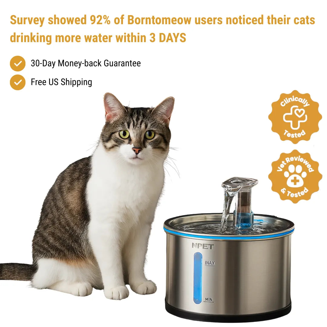 Borntomeow™ NPET Quintuple Filtration Fountain 2.0