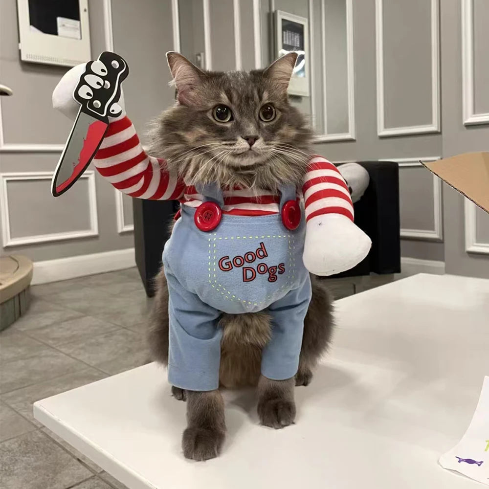 Funny Halloween Cat Costumes