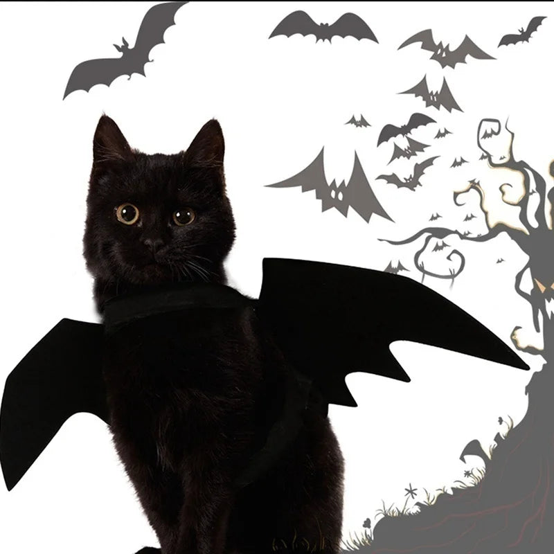 Halloween Cute Pet Clothes Black Bat Wings Costume