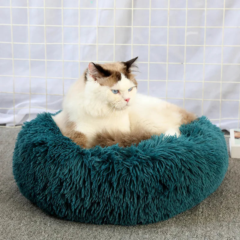 Plush Cloud Cat Bed – Super Soft & Cozy