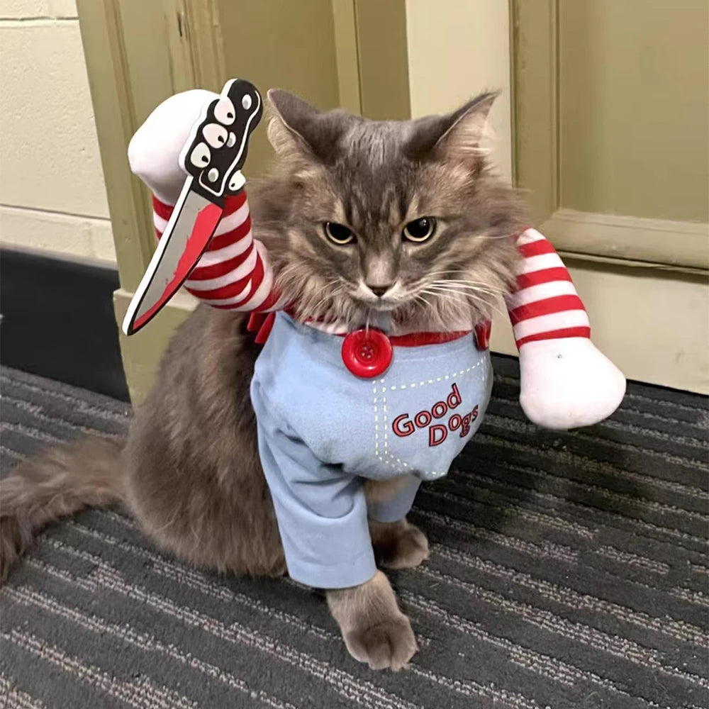 Funny Halloween Cat Costumes