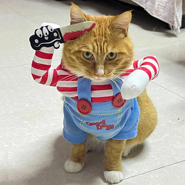 Funny Halloween Cat Costumes