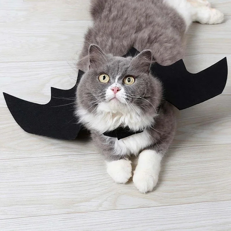 Halloween Cute Pet Clothes Black Bat Wings Costume