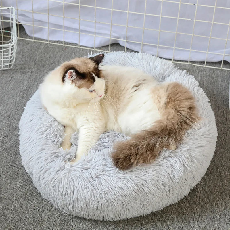 Plush Cloud Cat Bed – Super Soft & Cozy