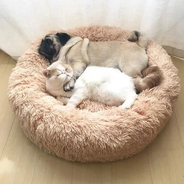 Plush Cloud Cat Bed – Super Soft & Cozy