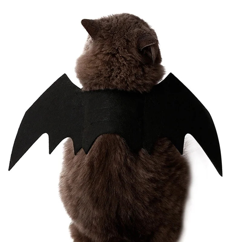 Halloween Cute Pet Clothes Black Bat Wings Costume