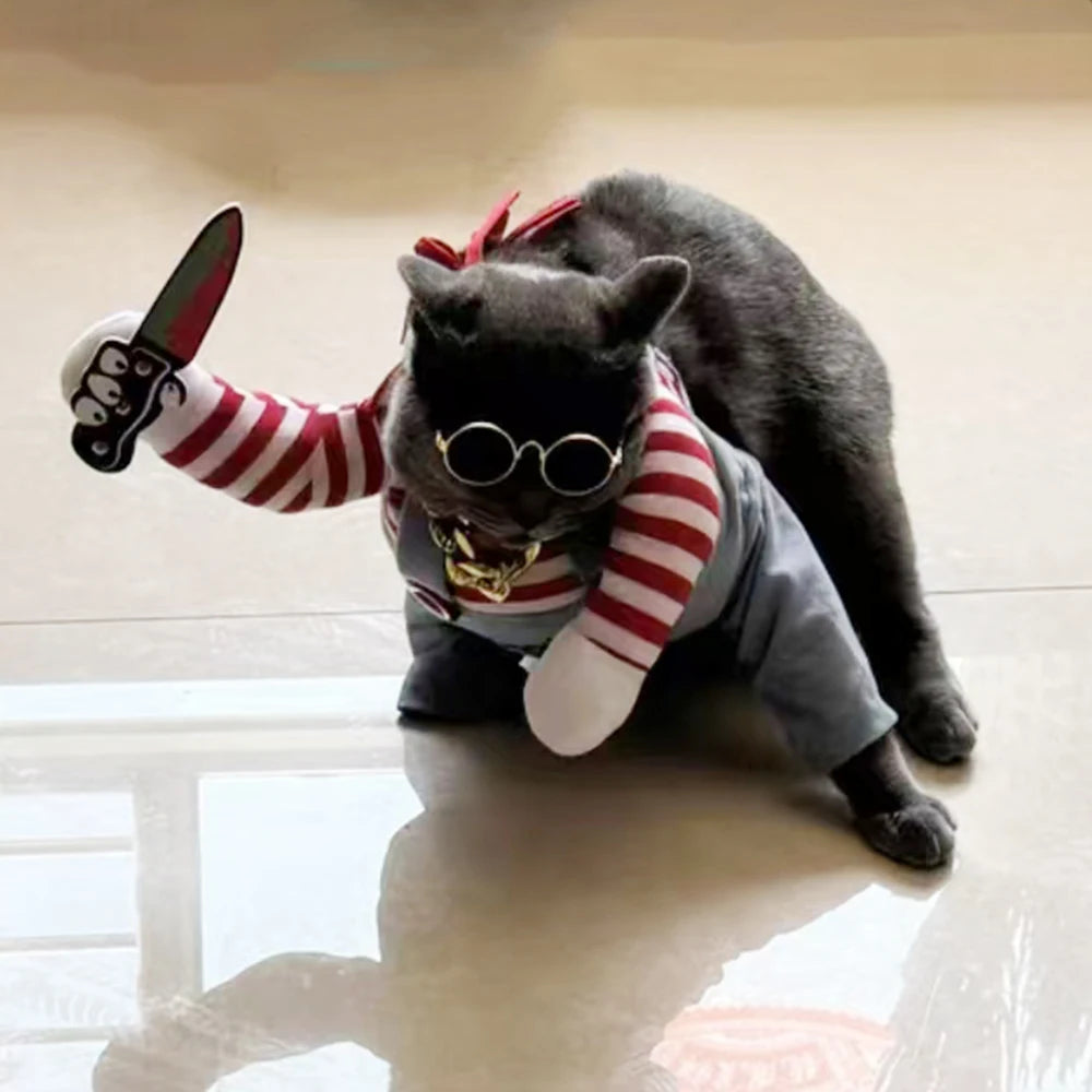 Funny Halloween Cat Costumes